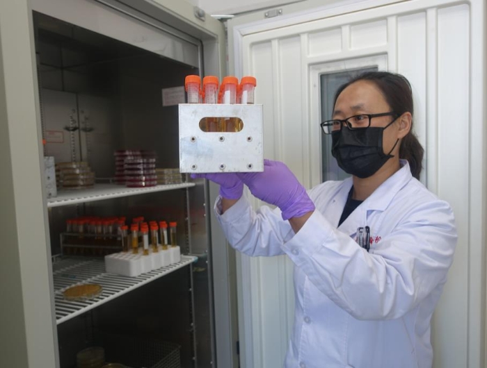 高瑞霞正在实验室观察防护服灭菌用生物指示剂的检验结果。记者 杨燕摄