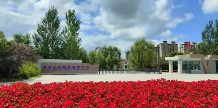 步长图片2